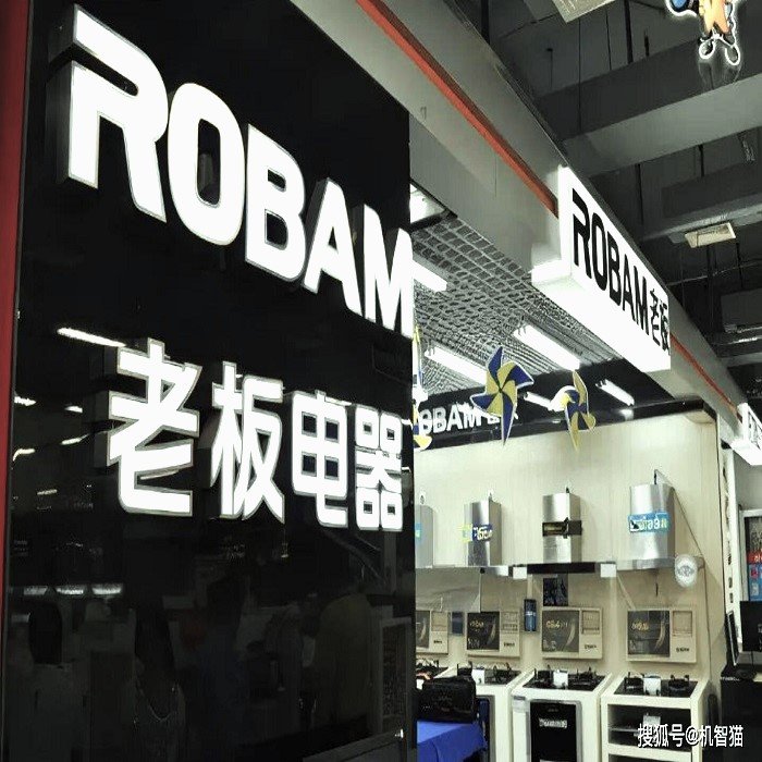 Court Case | Assessing Trademark Infringement Concerning Invalidated Trademarks – Robam Case